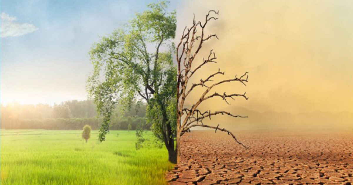 Climate change policy discussion